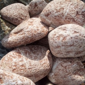 Kamień dekoracyjny Rozaria 10–20 cm